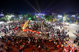 朗声助阵文化大篷车 科技与温情共舞乡野舞台